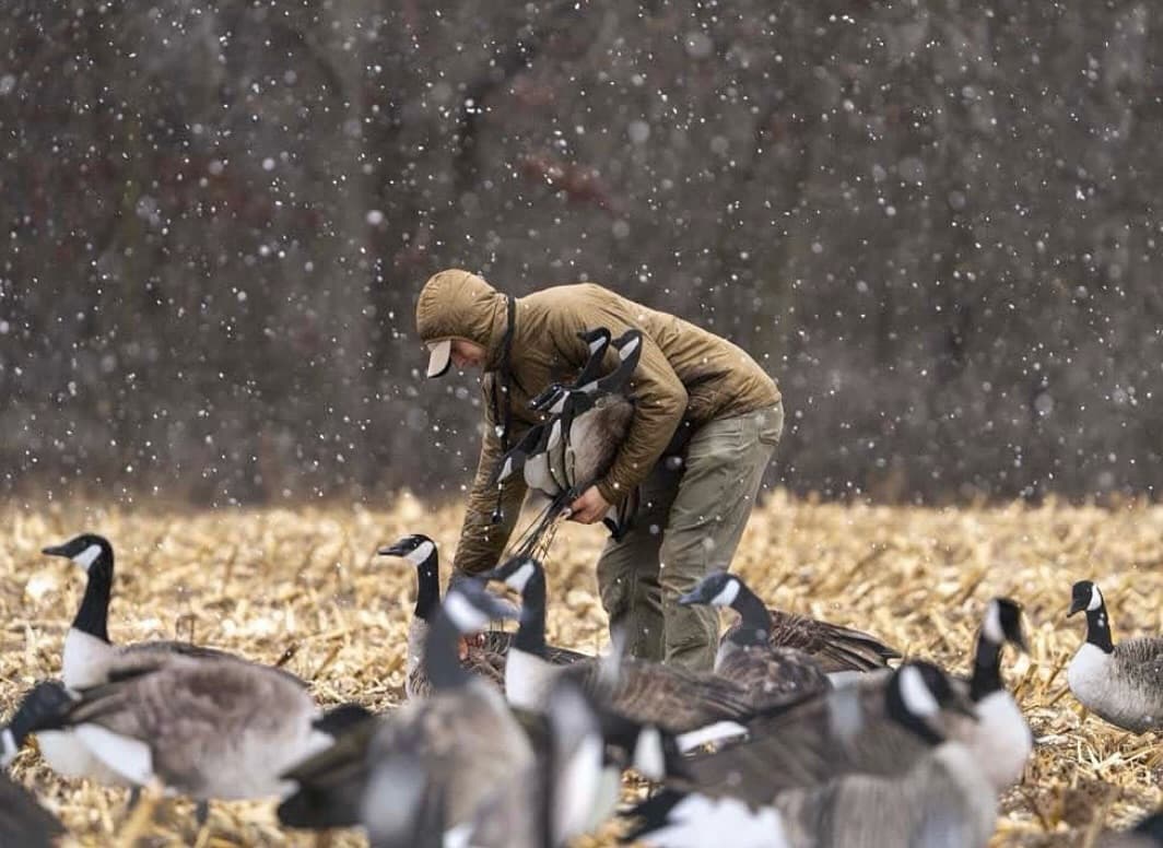 Hunter setting up goose decoys in snowfall